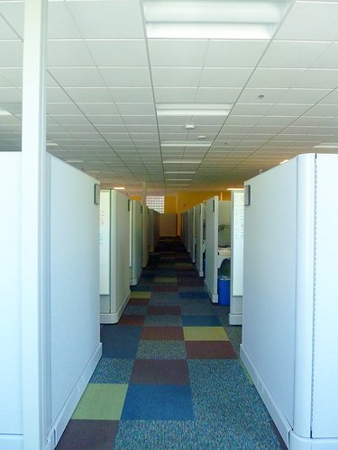 where to buy cubicle wallpaper,ceiling,building,room,floor,architecture