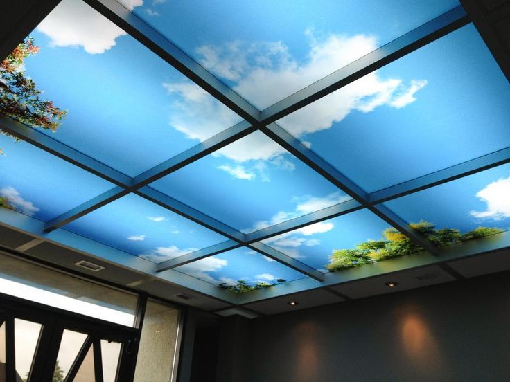 where to buy cubicle wallpaper,ceiling,sky,daylighting,daytime,roof