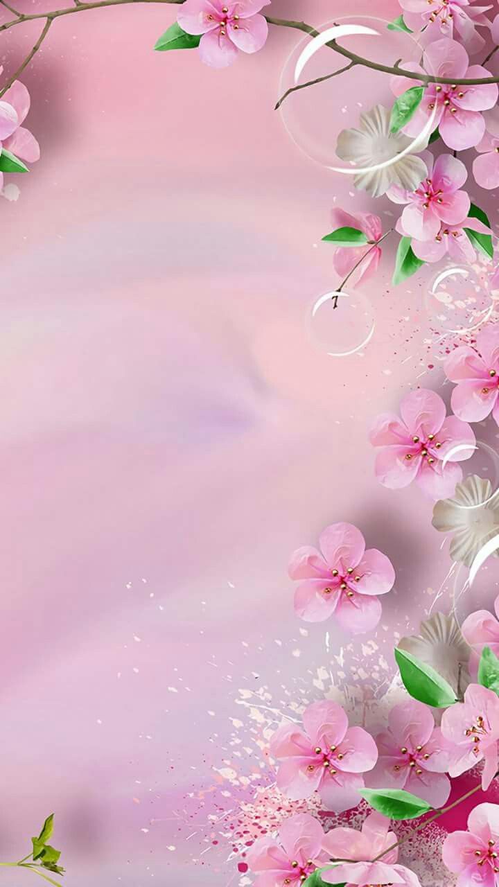 flower wallpaper border,pink,petal,flower,blossom,spring