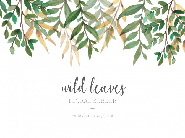 leaf wallpaper border,leaf,tree,plant,botany,font