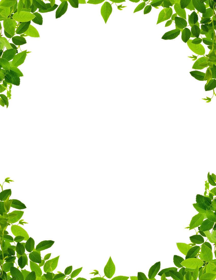 bordo carta da parati foglia,foglia,verde,clipart,pianta,edera