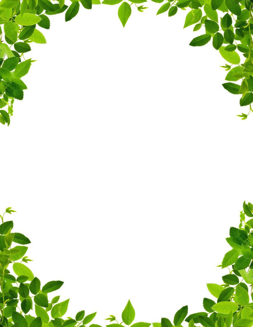 bordure de papier peint feuille,feuille,vert,clipart,plante,lierre