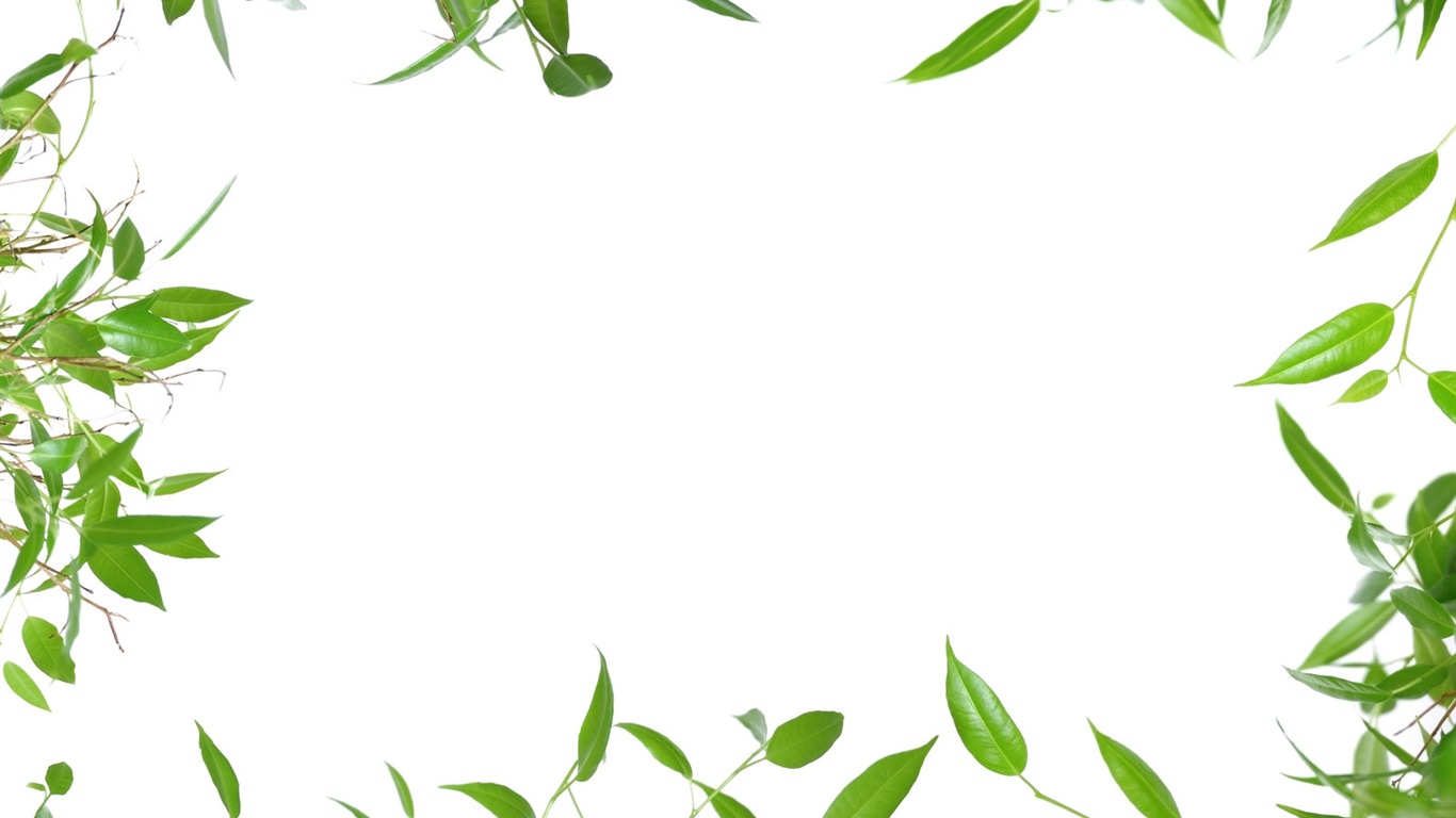 green wallpaper border,leaf,green,plant,branch,grass
