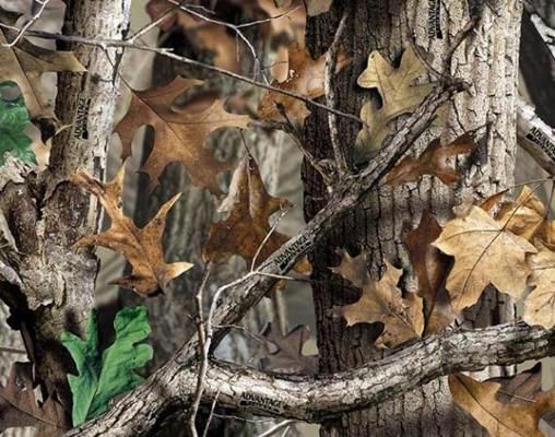 camo wallpaper for walls,tree,shellbark hickory,trunk,leaf,branch
