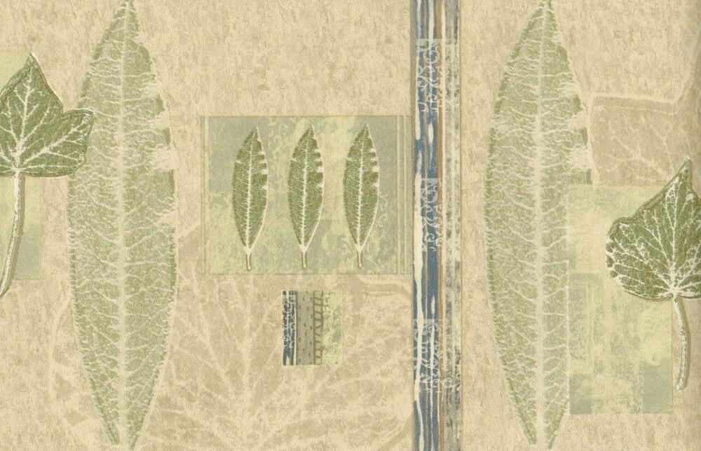modern wallpaper border,banknote,leaf,paper,currency,botany