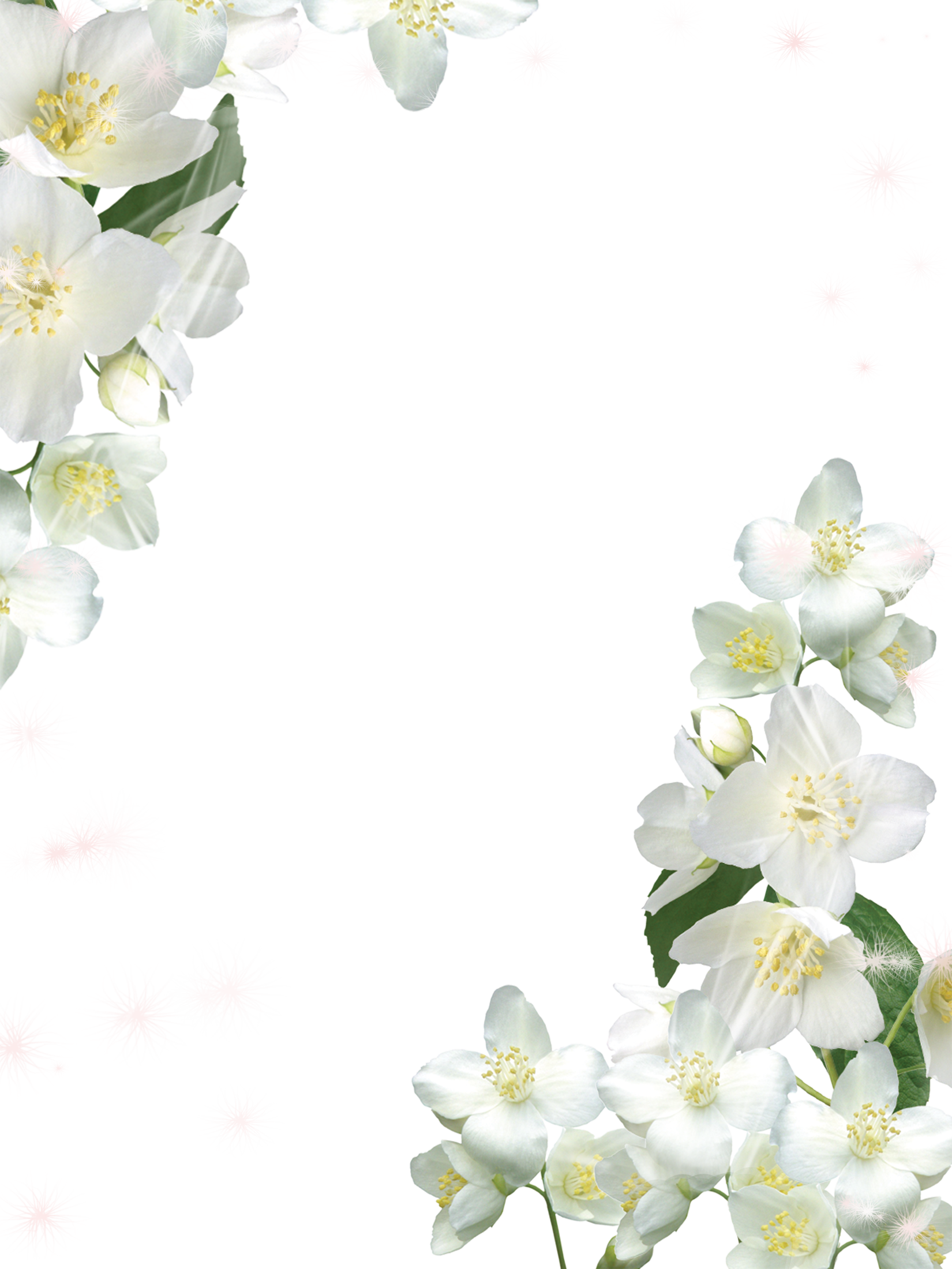 現代の花の壁紙 黒 黒と白 パターン 花 花弁 Wallpaperuse