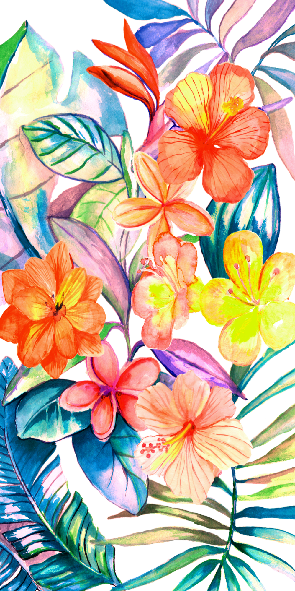 wallpaper transparent background,frangipani,flower,petal,plant,pattern