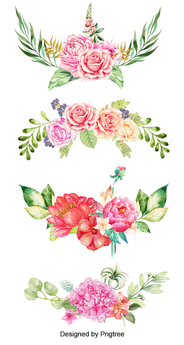 fond d'écran transparent,fleur,rose,rose,fleurs coupées,plante