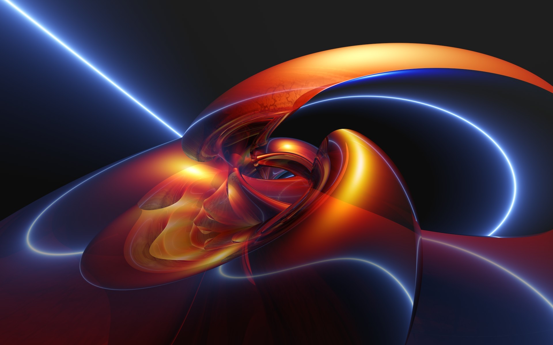 Translucent Shell Wallpaper 12503 - Perfect 3d- WallpaperUse