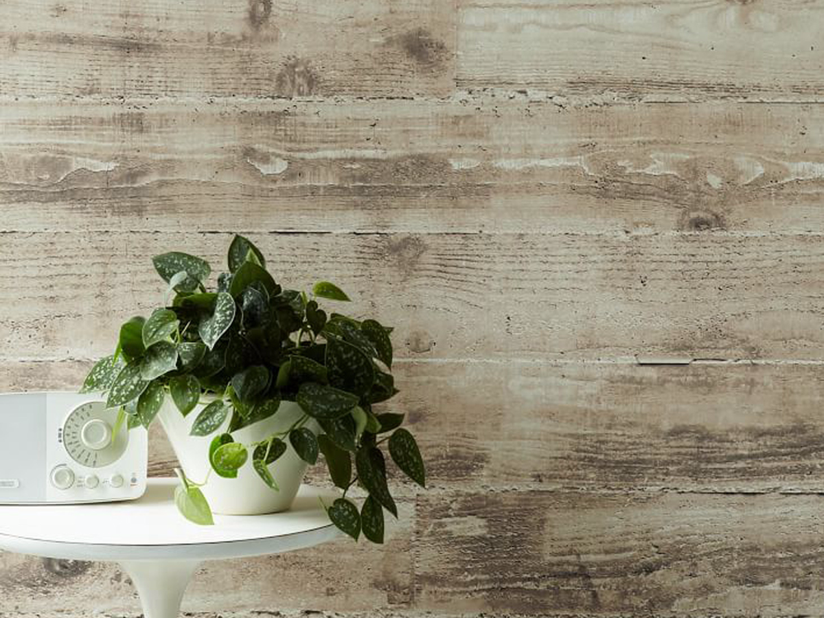 modern removable wallpaper,wall,leaf,plant,herb,wood