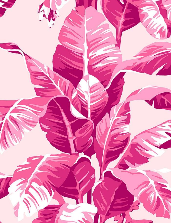 ピンクの取り外し可能な壁紙,ピンク,パターン,葉,工場,花