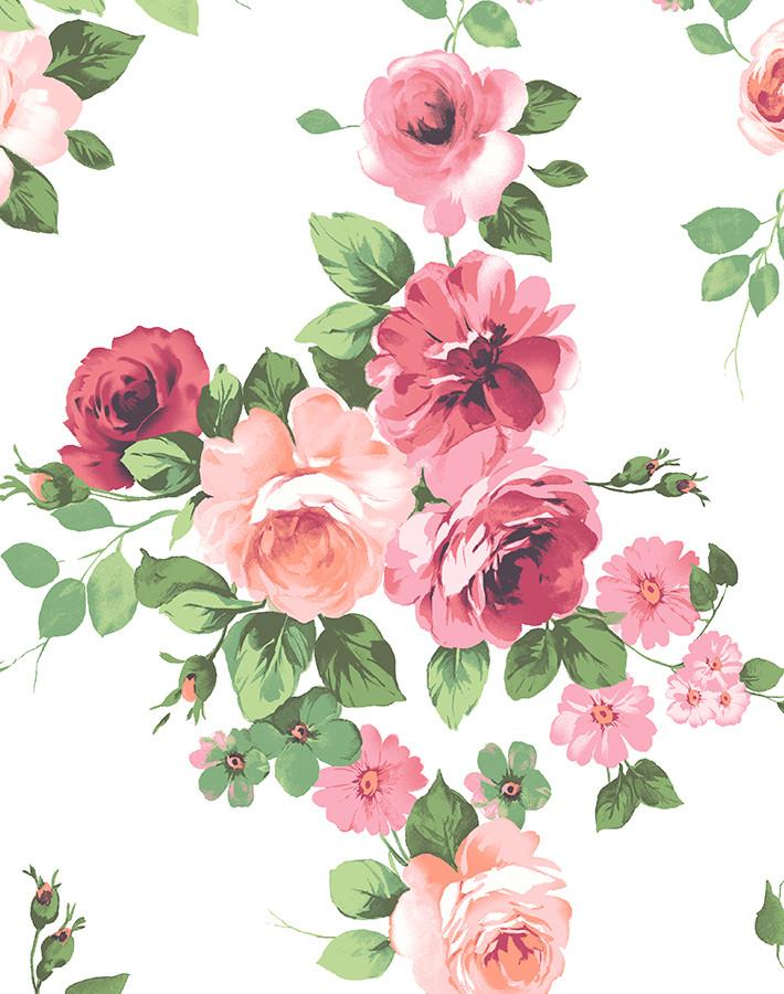 ピンクの取り外し可能な壁紙,花,開花植物,庭のバラ,ローズ,ピンク