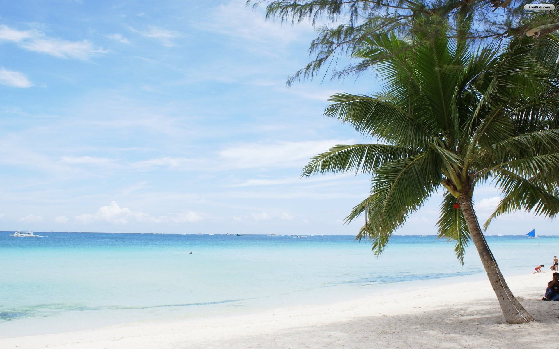 bordo carta da parati spiaggia,corpo d'acqua,albero,palma,spiaggia,caraibico