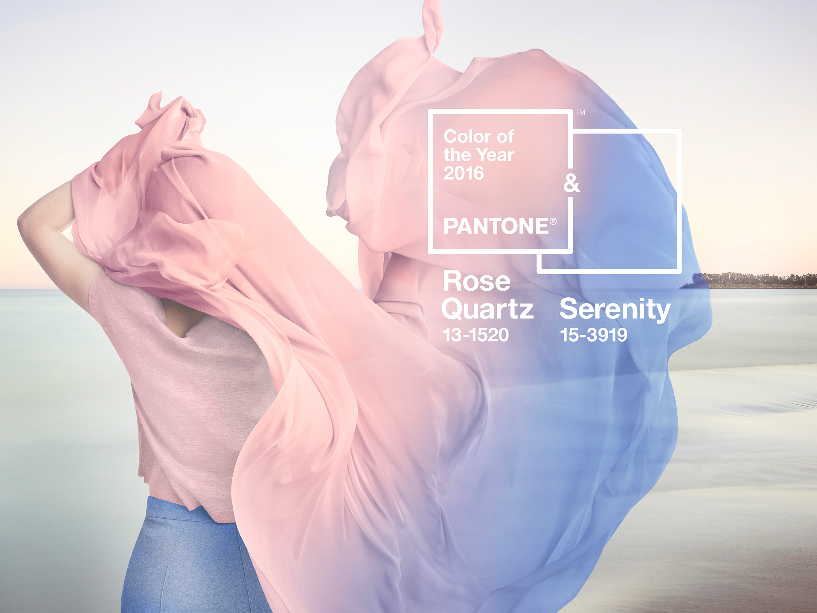 rose quartz serenity wallpaper,product,shoulder,blue,pink,text