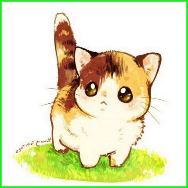 Tapete Kacamata Katze Kleine Bis Mittelgrosse Katzen Karikatur Felidae Schnurrhaare 564283 Wallpaperuse