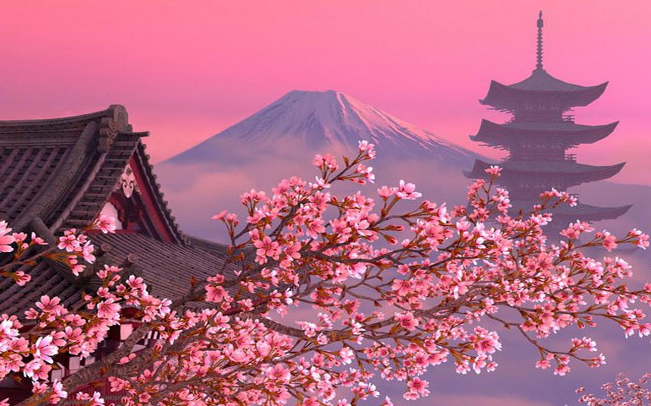 wallpaper japon,flower,blossom,japanese architecture,pagoda,pink