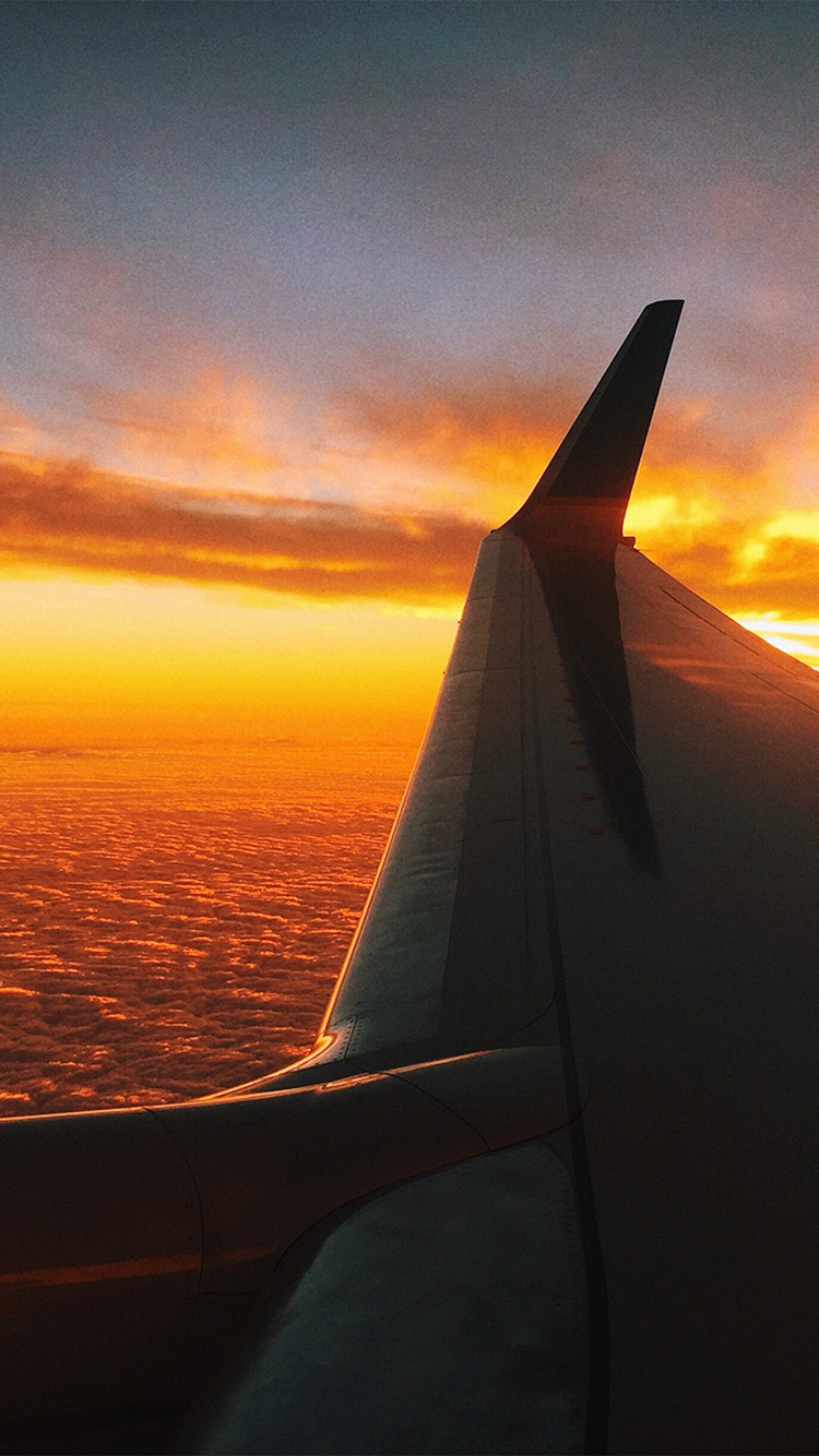 travel iphone wallpaper,sky,air travel,horizon,sunset,wing