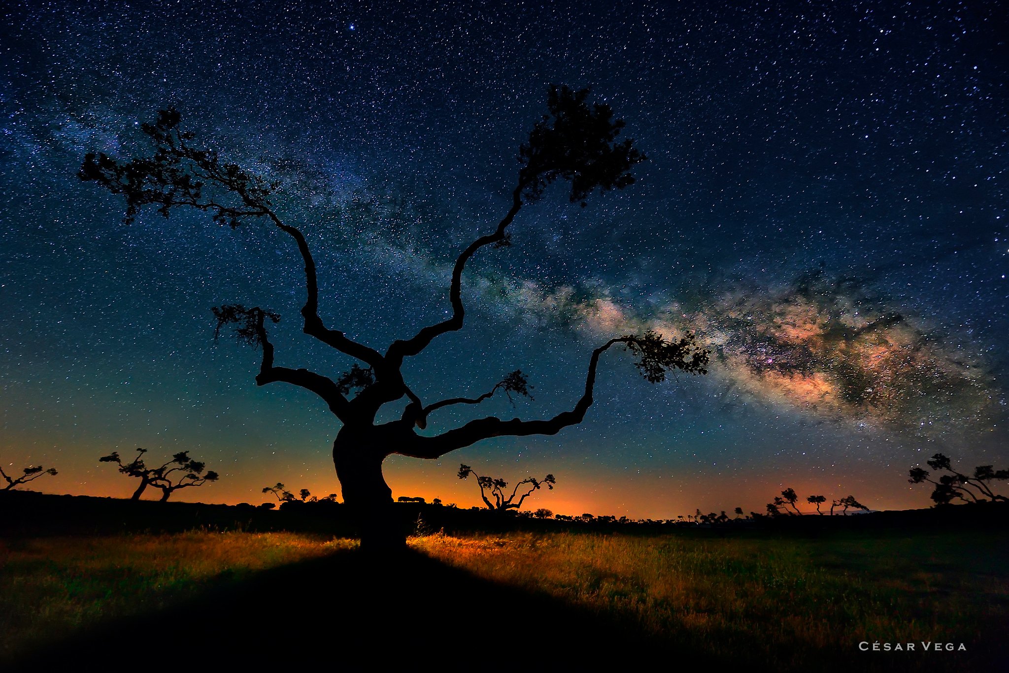 way wallpaper,sky,nature,tree,natural landscape,cloud