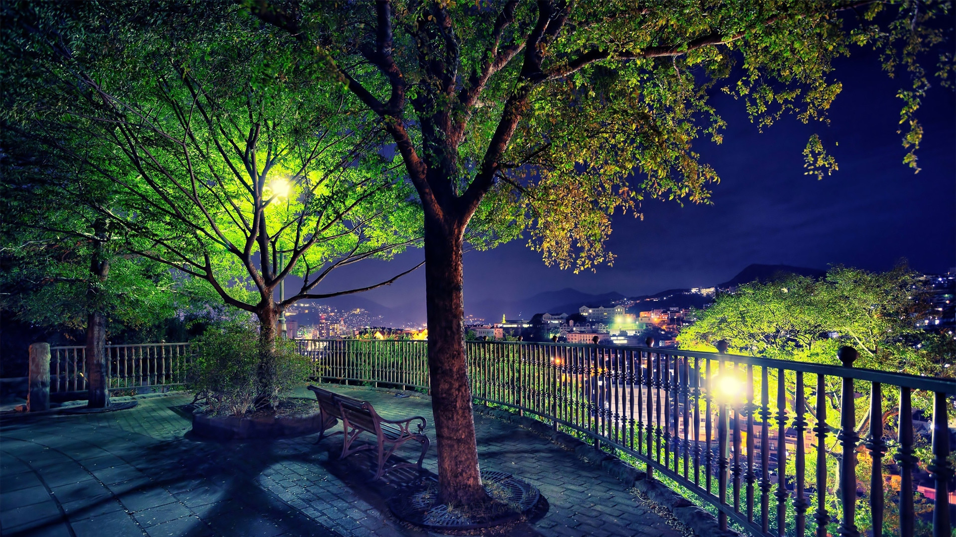 fondos de escritorio de ciudades del mundo,naturaleza,árbol,cielo,encendiendo,propiedad