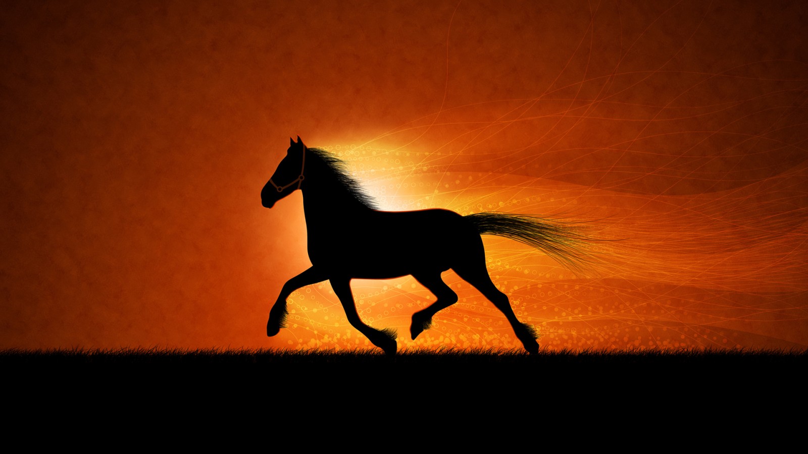 apus wallpapers hd,horse,mane,sky,silhouette,stallion