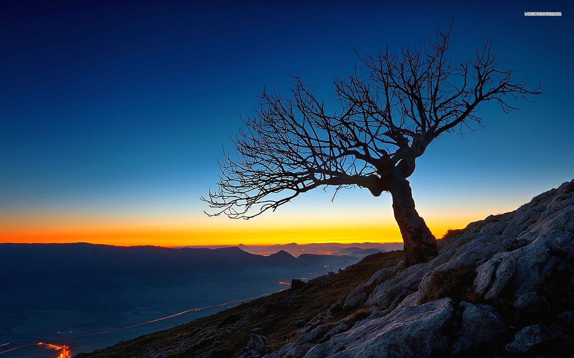 sfondi apus hd,cielo,natura,paesaggio naturale,albero,blu