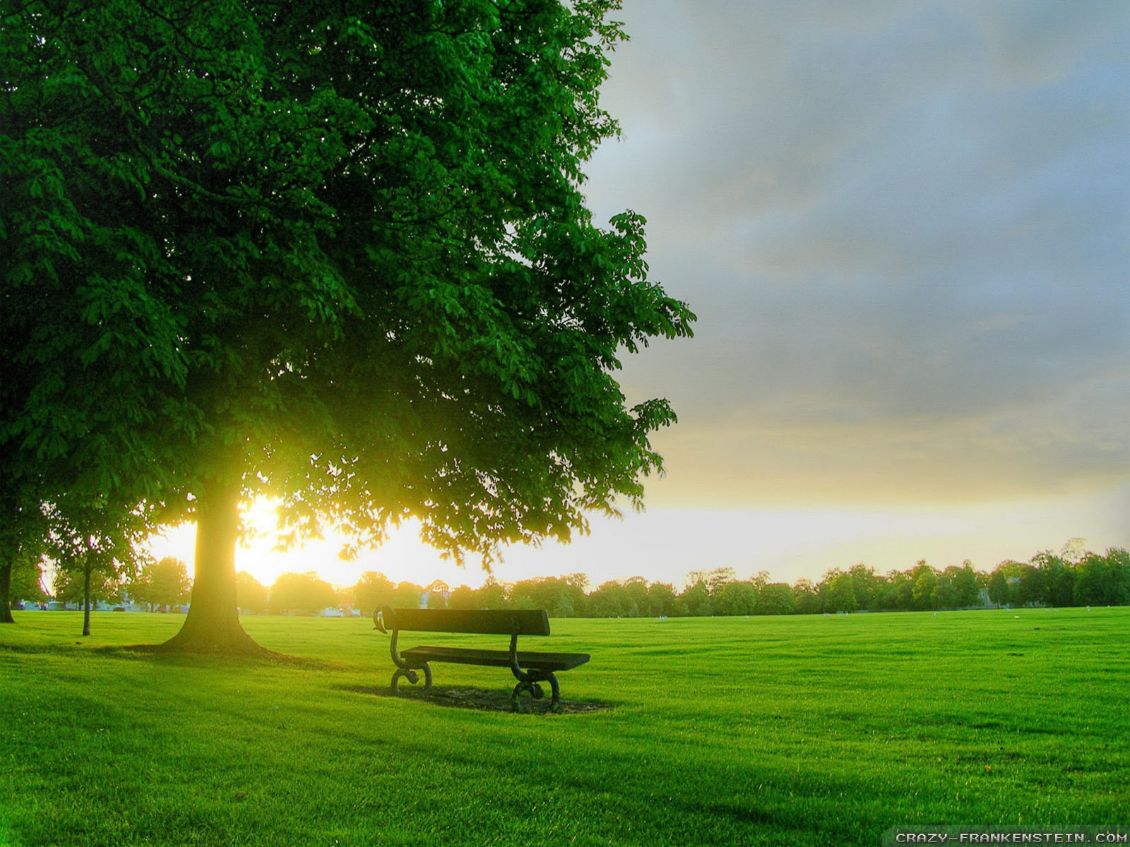apus wallpapers hd,natural landscape,green,nature,sky,bench