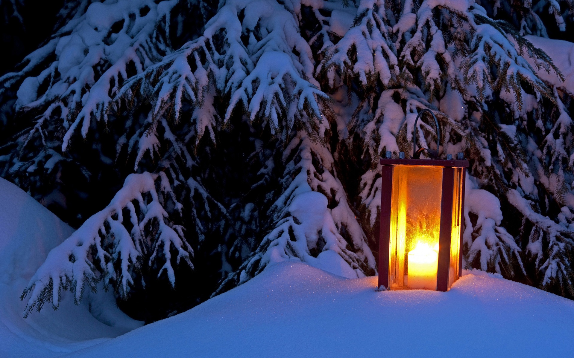 fonds d'écran et thèmes gratuits,neige,hiver,éclairage,arbre,gelé