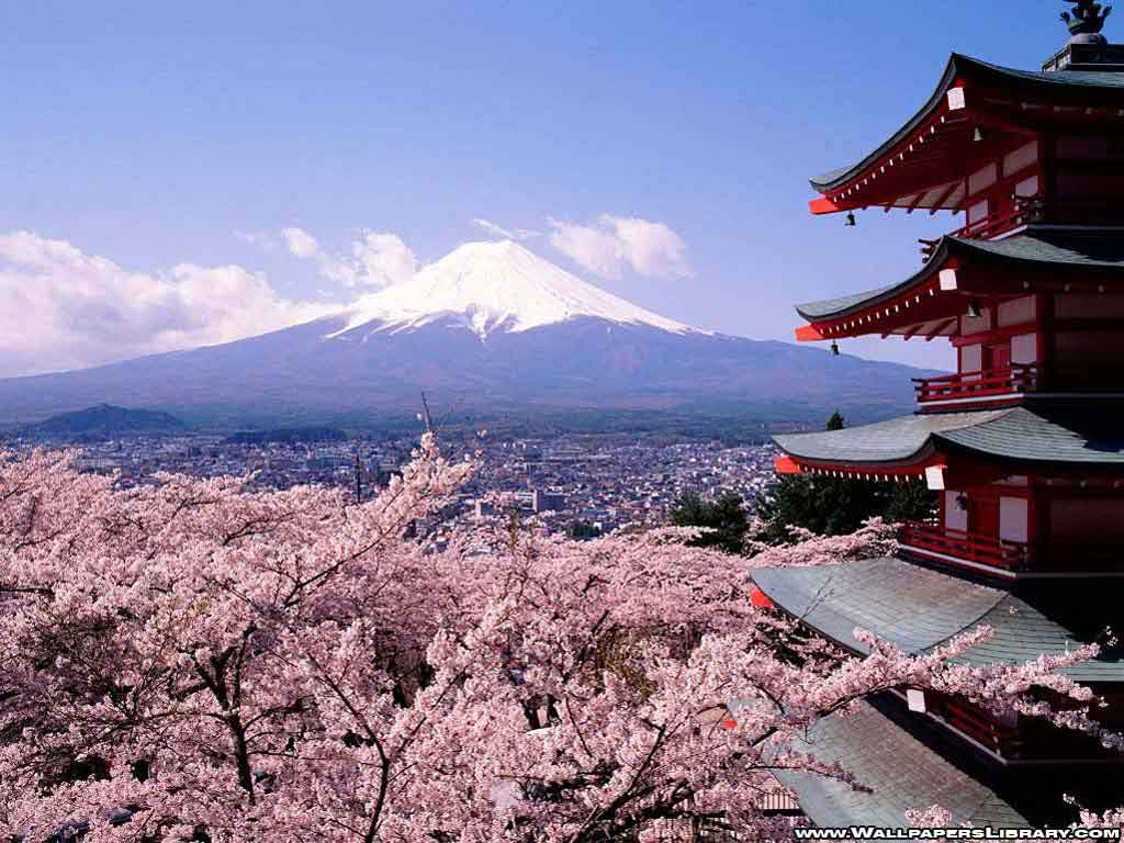 bp壁紙,日本の建築,花,パゴダ,桜の花,花