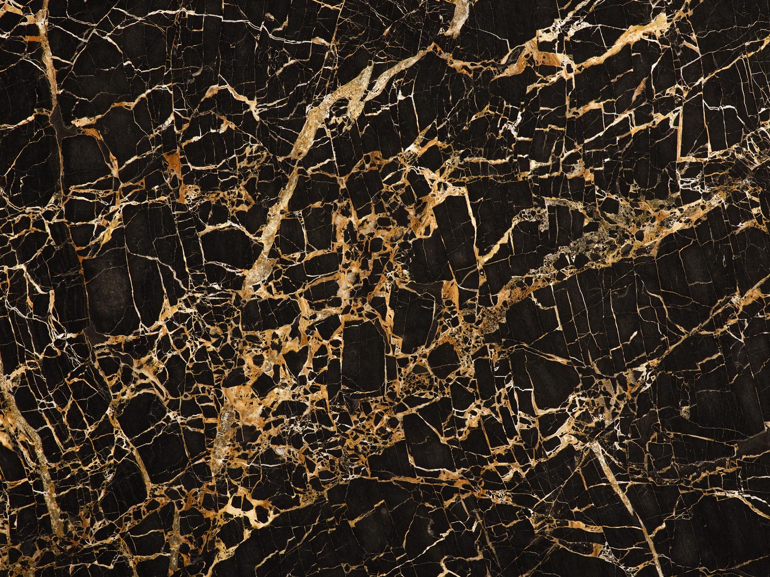 black and gold marble wallpaper,black,brown,branch,marble,pattern