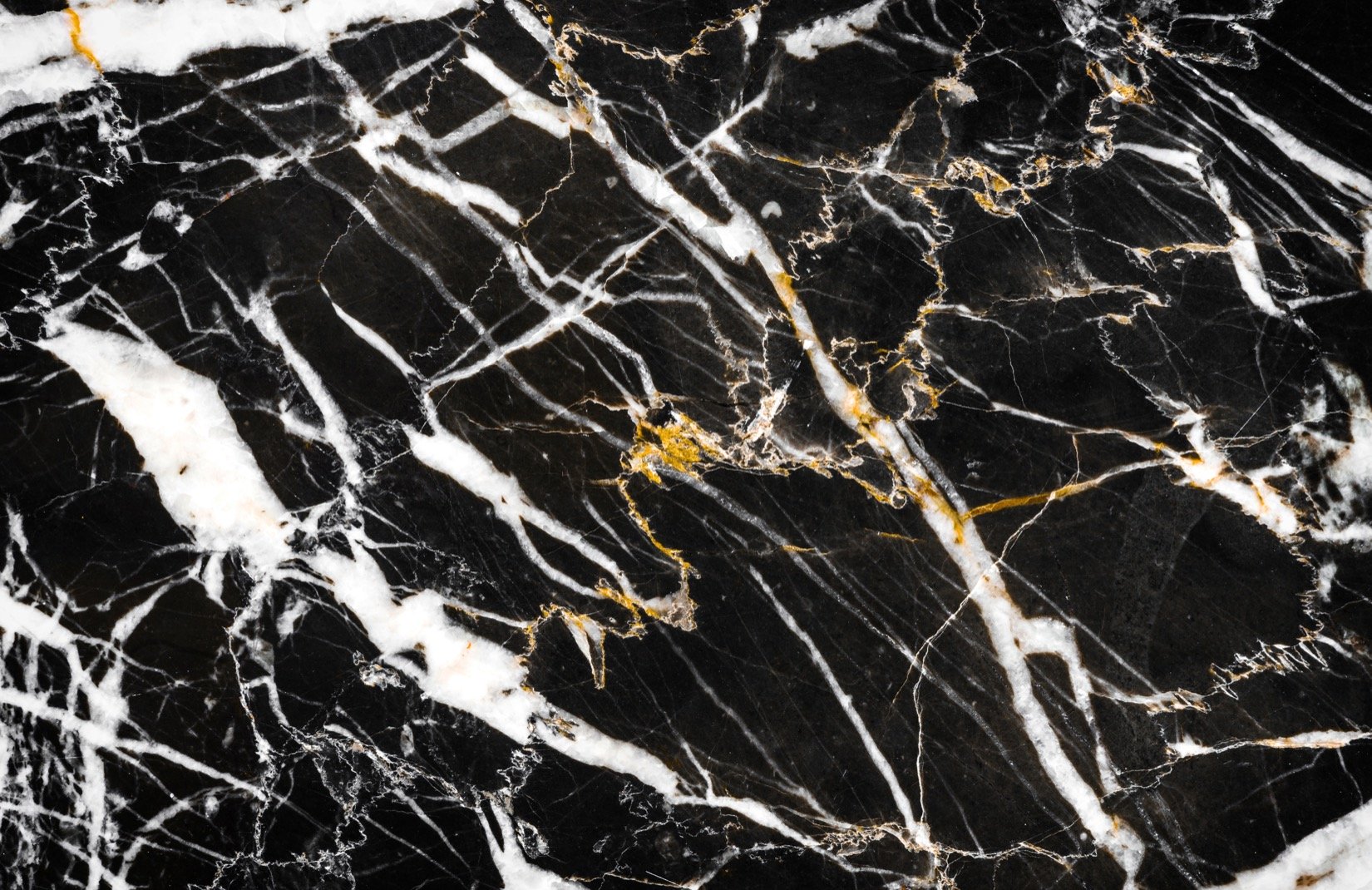 black and gold marble wallpaper,black,water,marble,rock,plant
