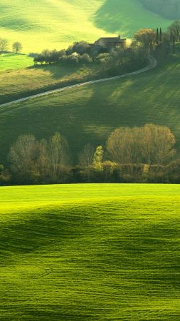 8k mobile wallpaper,natural landscape,green,grassland,field,nature