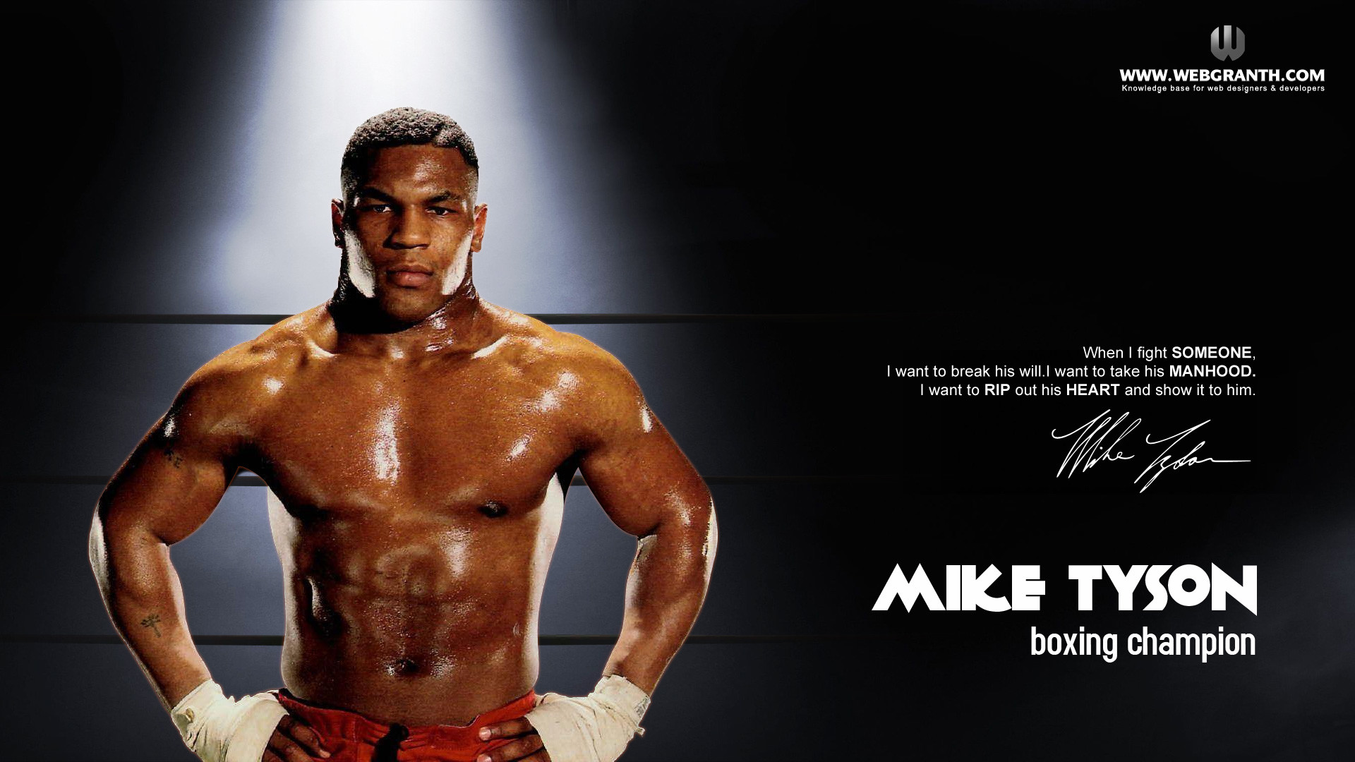 mike wallpaper,bodybuilder,ohne brust,bodybuilding,fitnessprofi,truhe
