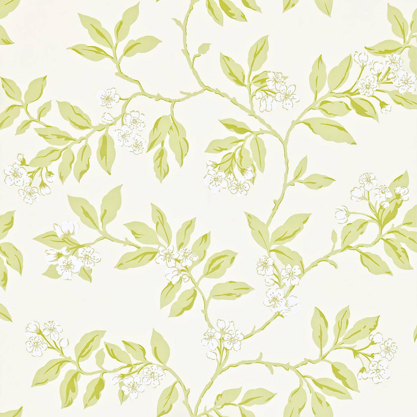 Sanderson Wallpaper Clearance WallpaperUse