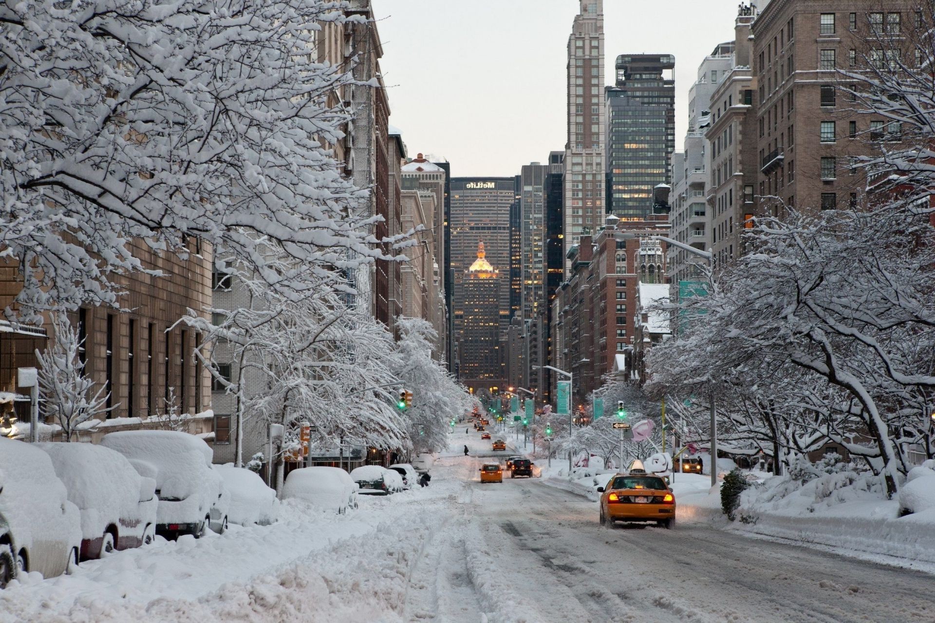 new york winter wallpaper,snow,winter,freezing,neighbourhood,urban area