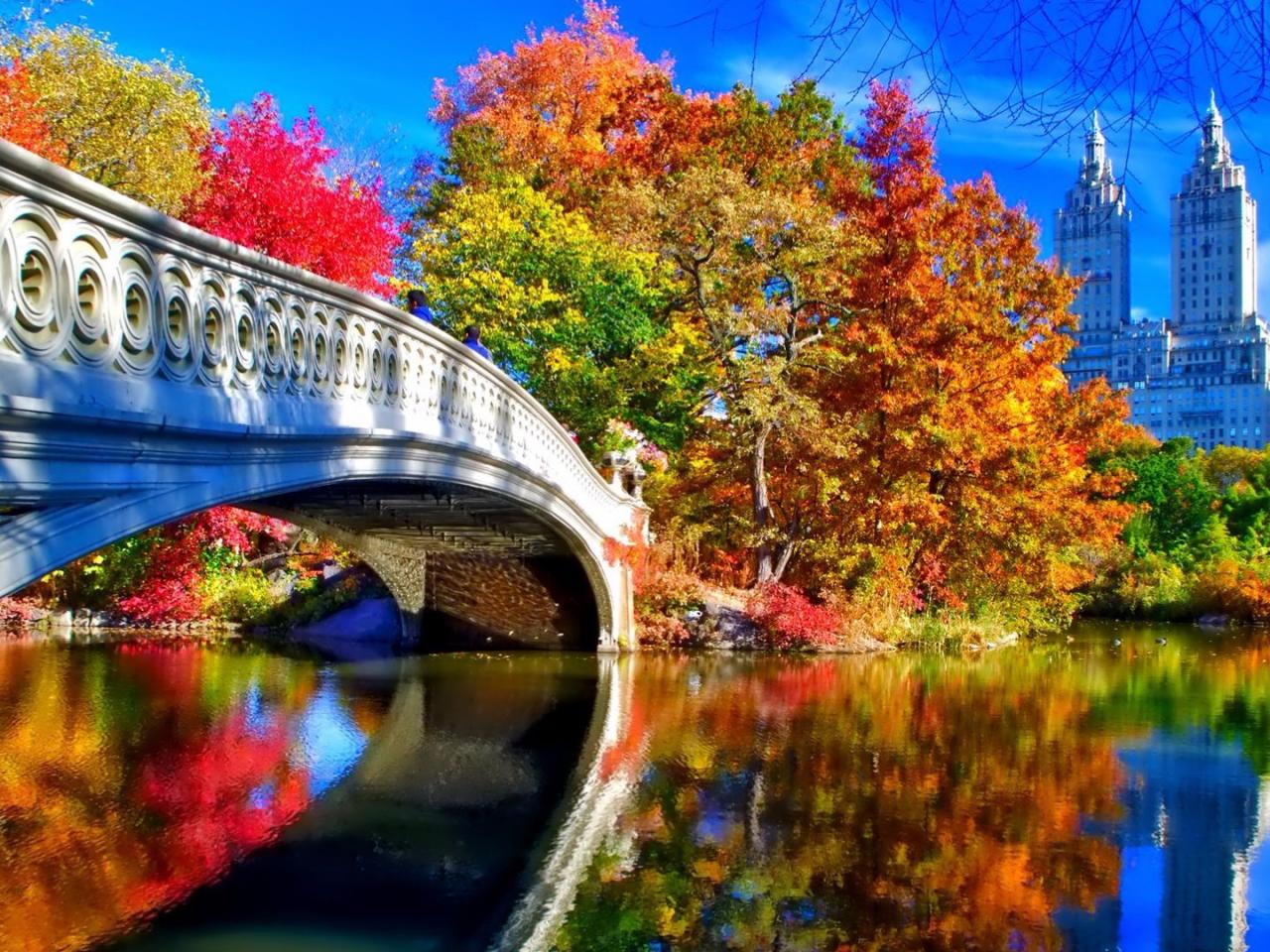 nueva york live wallpaper,reflexión,naturaleza,paisaje natural,árbol,cielo