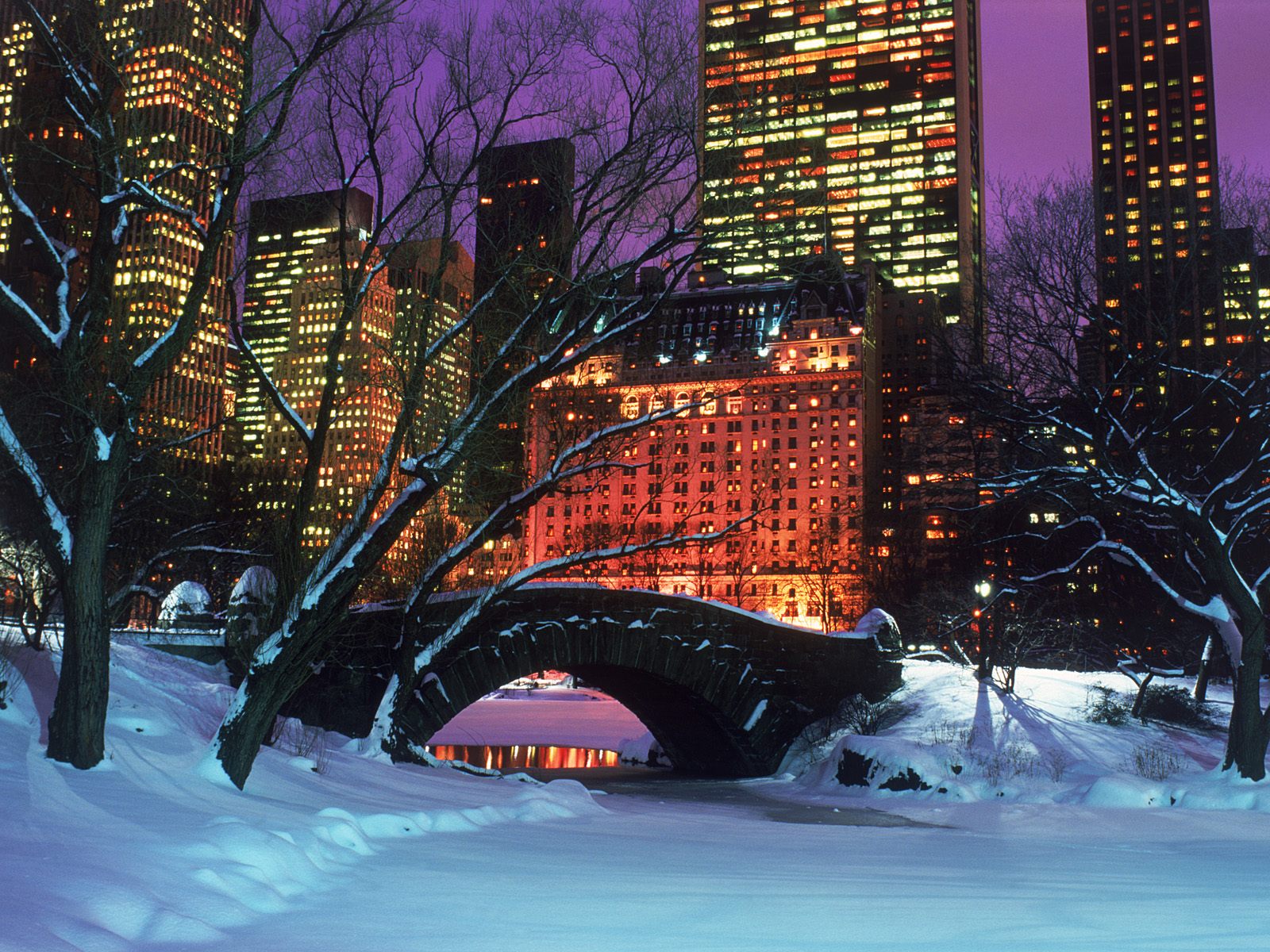 carta da parati invernale di new york,inverno,neve,città,albero,viola