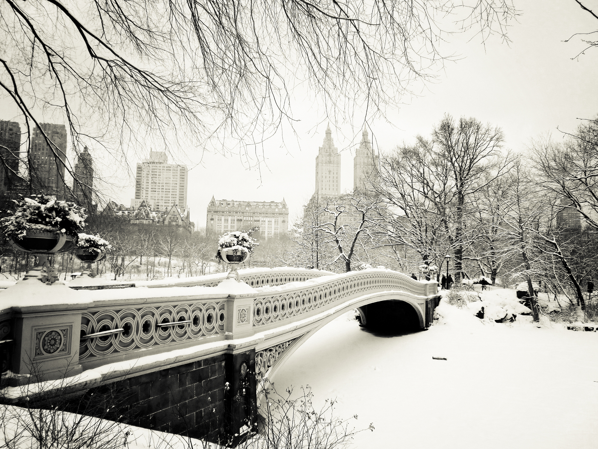 carta da parati invernale di new york,neve,inverno,corso d'acqua,congelamento,albero