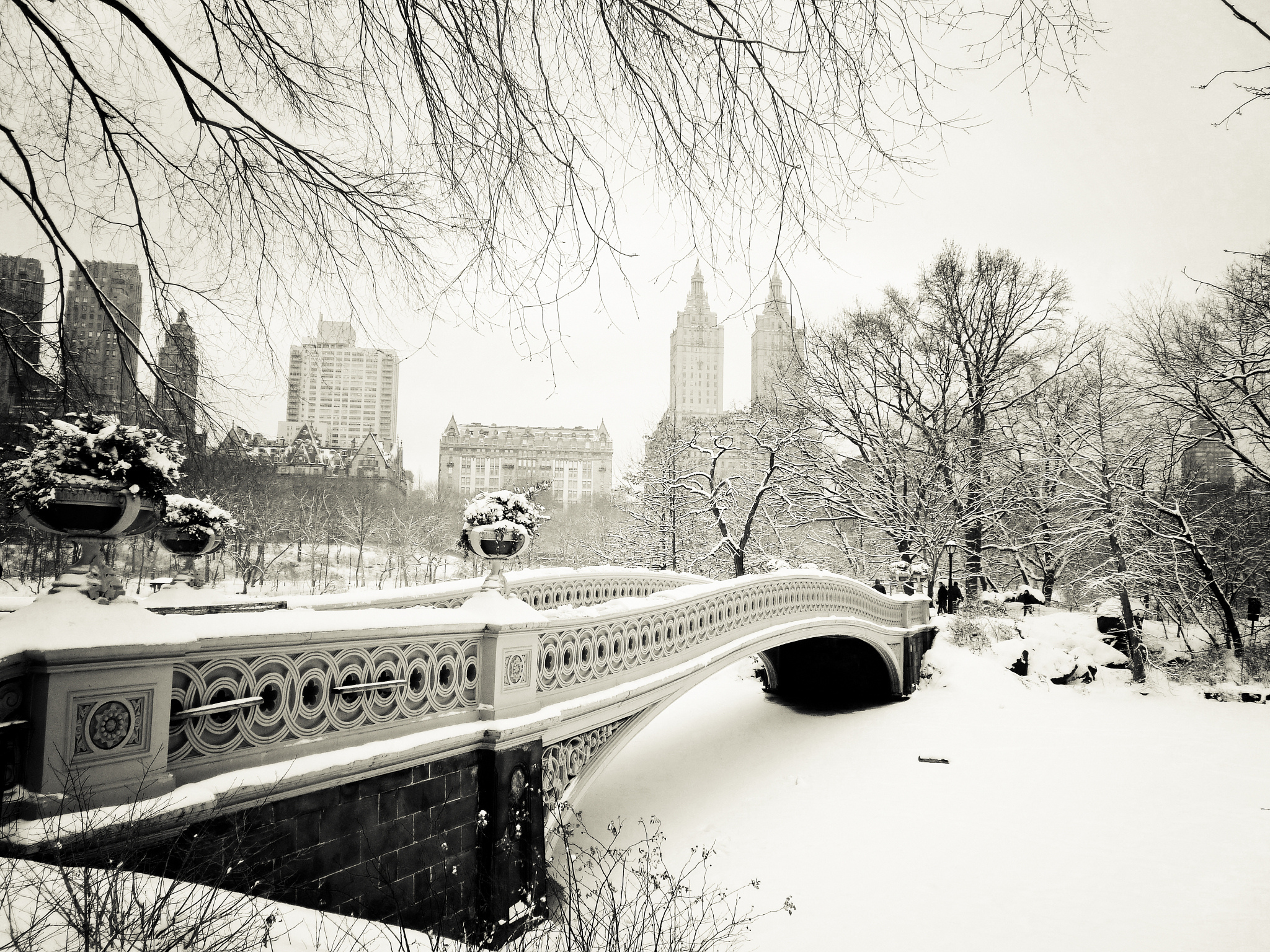 new york winter wallpaper,schnee,winter,wasserweg,einfrieren,baum