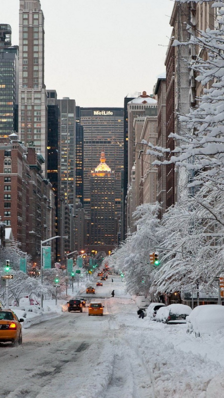 ニューヨークの冬の壁紙,雪,冬,市,市街地,凍結