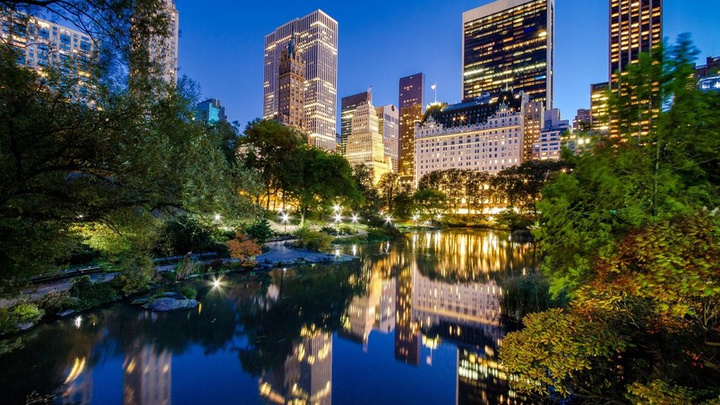 sfondo di new york central park,riflessione,città,area metropolitana,paesaggio urbano,natura