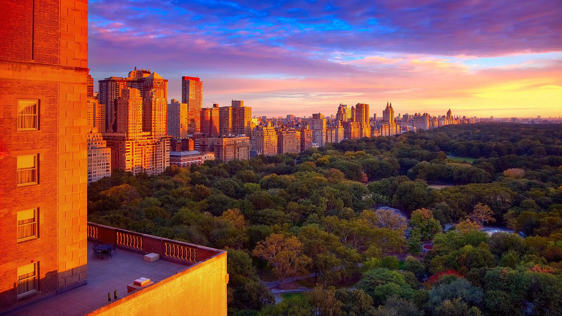 new york central park wallpaper,sky,nature,metropolitan area,cityscape,city