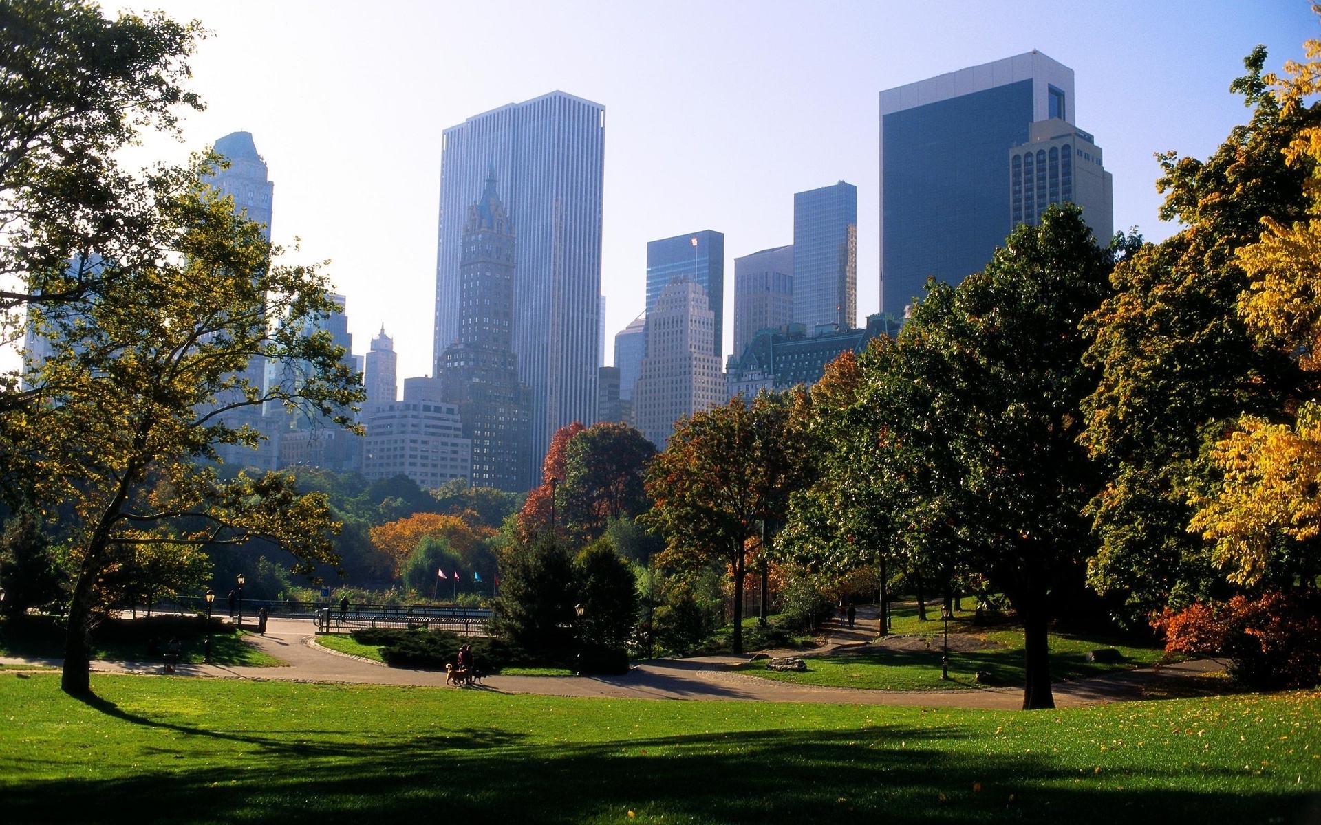 sfondo di new york central park,città,giorno,area metropolitana,natura,paesaggio naturale