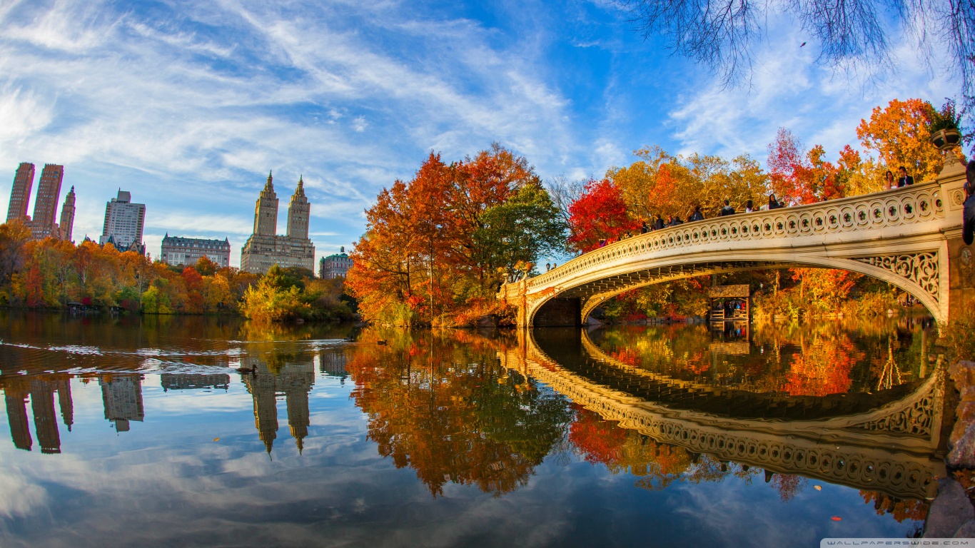 new york central park wallpaper,reflection,nature,sky,landmark,painting
