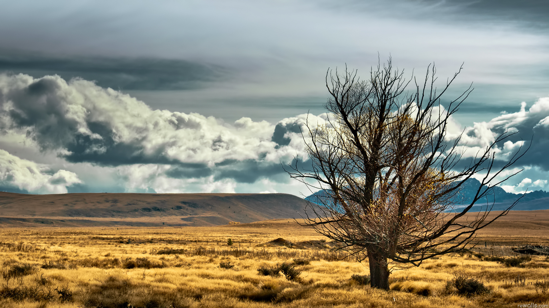 nouveau nouveau fond d'écran,ciel,paysage naturel,la nature,arbre,nuage