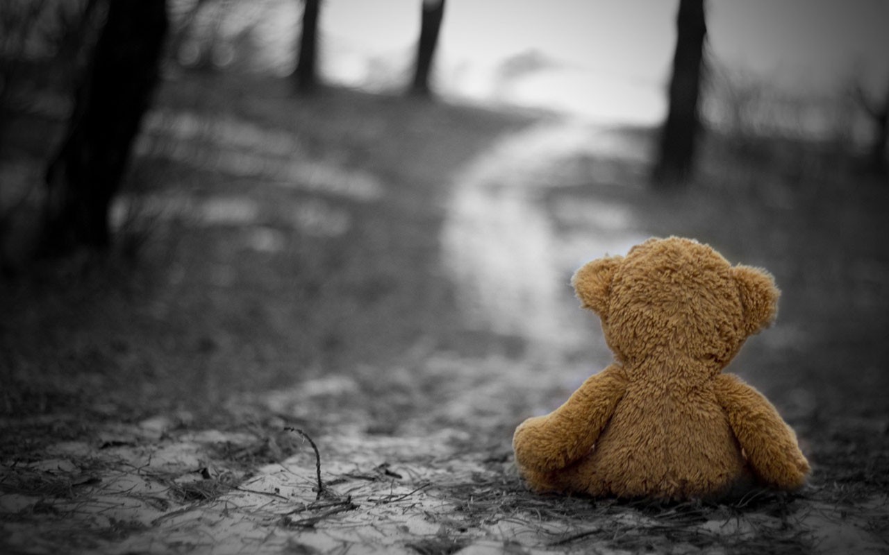 fonds d'écran tristes et solitaires,ours en peluche,jouet,ciel,feuille,arbre