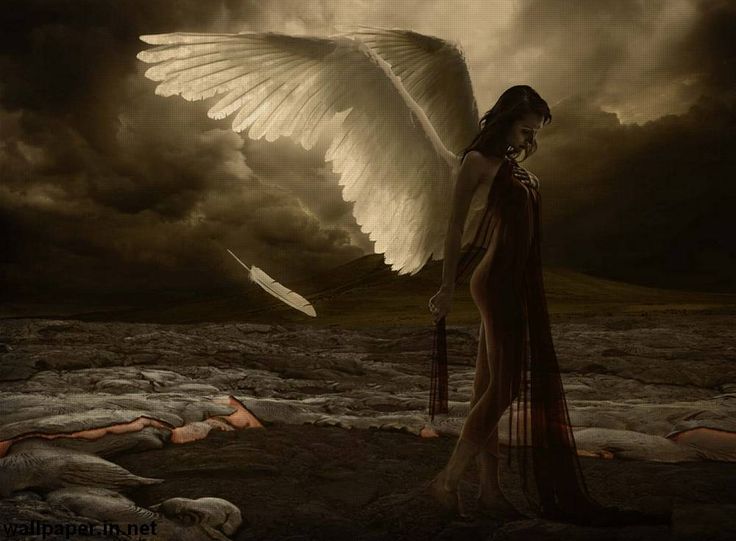 sad written wallpaper,angel,cg artwork,wing,supernatural creature,mythology