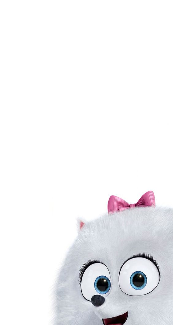 wallpaper engraçado,pink,head,nose,snout,whiskers