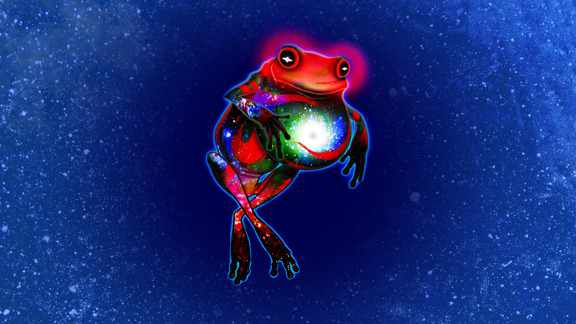 wallpapers psicodelicos,frog,tree frog,amphibian,organism,water