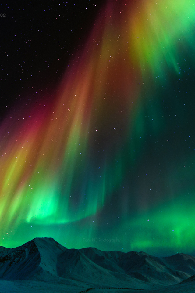 iphone wallpaper lichter,himmel,aurora,natur,grün,natürliche landschaft