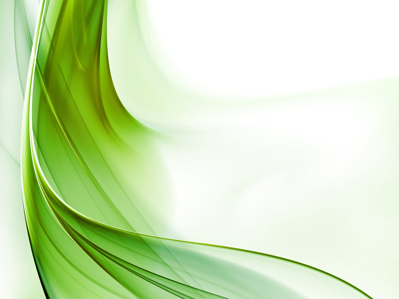 papel pintado abstracto claro,verde,hoja,línea,césped,planta